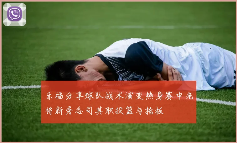 乐福分享球队战术演变热身赛中老将新秀各司其职投篮与抢板