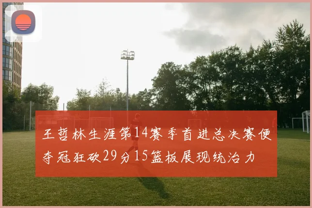王哲林生涯第14赛季首进总决赛便夺冠狂砍29分15篮板展现统治力